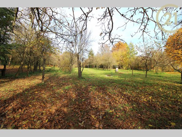 Obrázek k zakázce č.: 128681